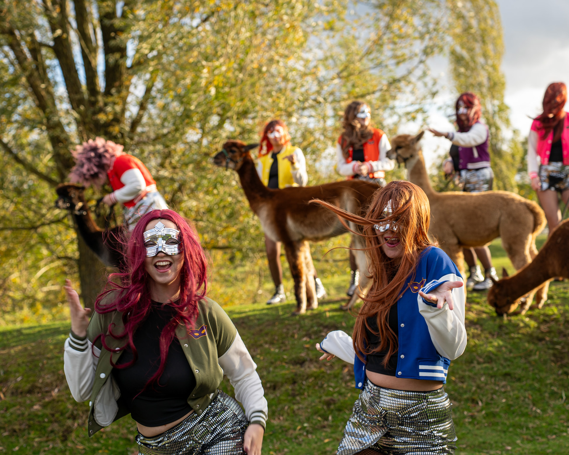 Gemaskerde Snollies tussen de alpaca's